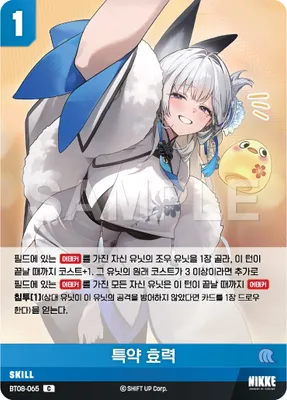Special Provisions (BT08-065)
